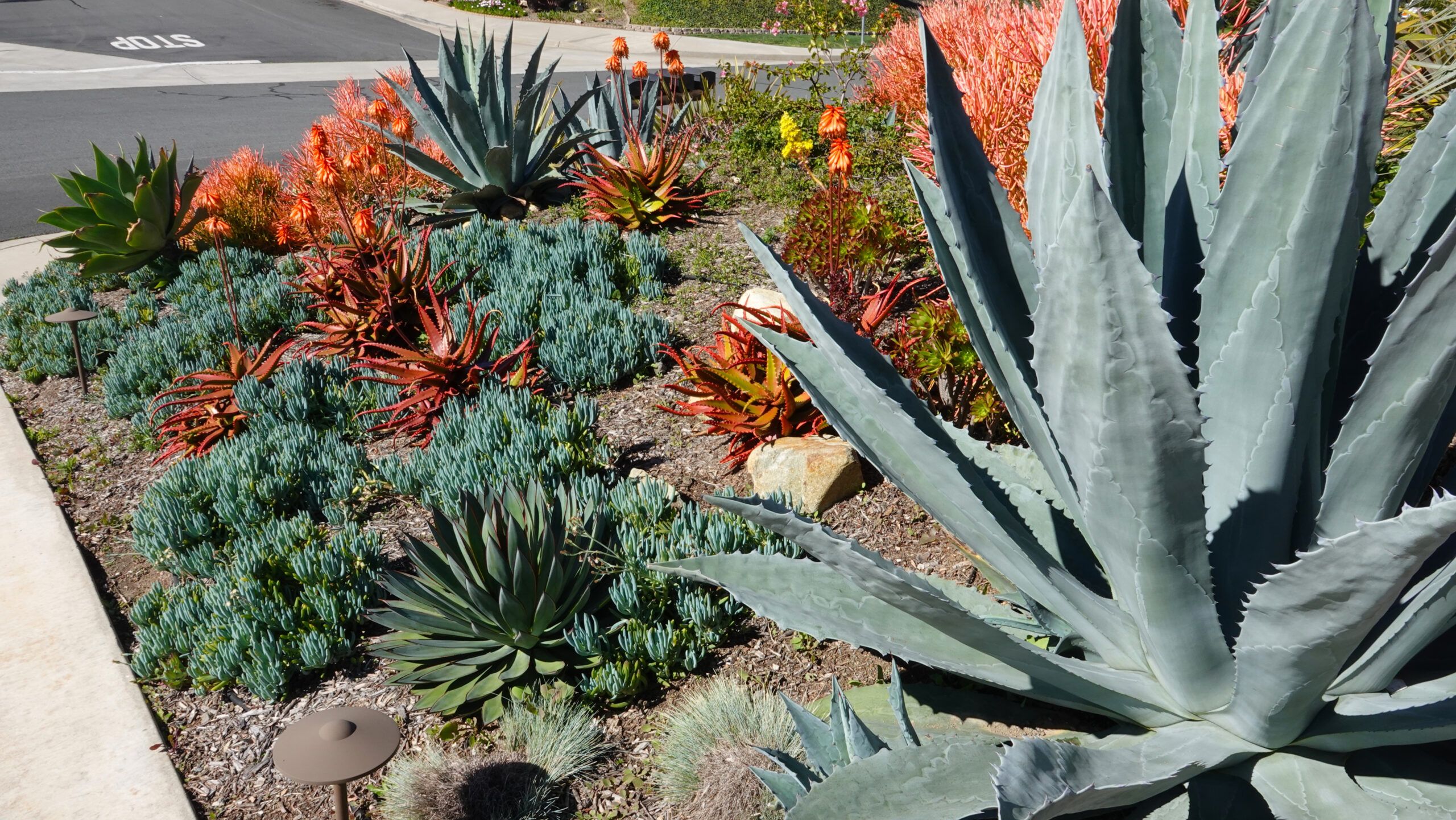 sustainable landscaping